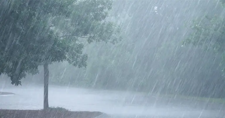 বৃষ্টির ছবি